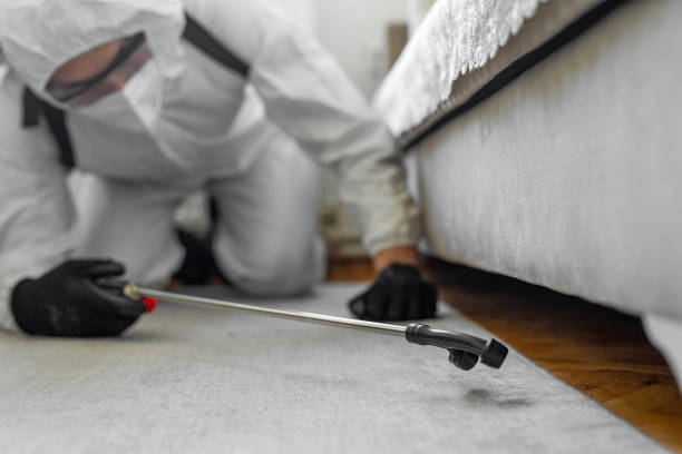 Professional Pest Control technician working in Hemphill County County, TX